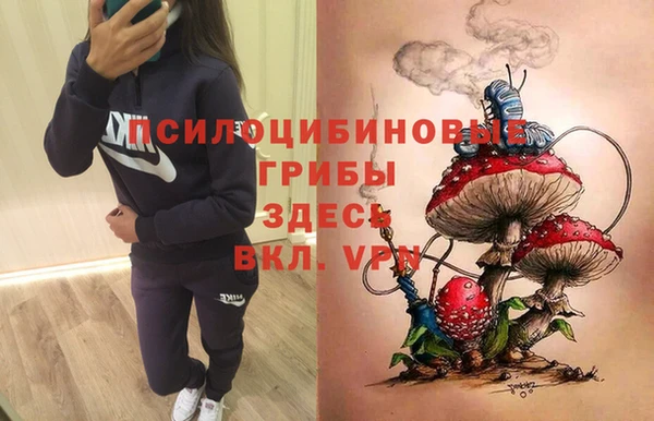 гидропоника Зерноград