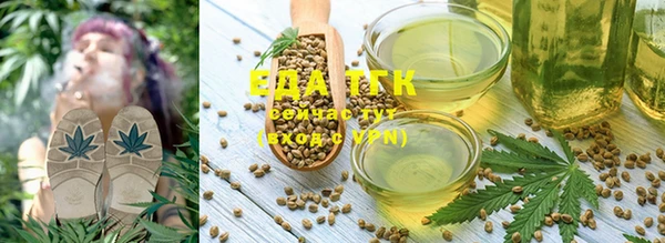 амф Зеленокумск